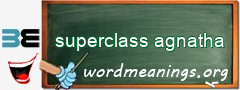 WordMeaning blackboard for superclass agnatha